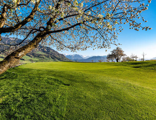 Save the date: European Ladies Golf Captains‘ Meeting 2026