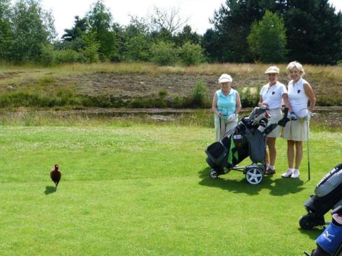 Int Treffen Belgien 2014 (69)